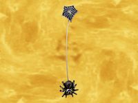 Boucle Oreille Veuve Noire Alchemy Gothique Alch-150