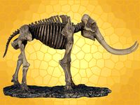 Squelette Mammouth Figurine Fossile Éléphant Préhistorique DOD10