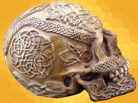Crâne Celtique Runes Gravé ivoire Cranes Squelette Gothique DOD347064