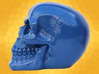 Crâne Bleu Brillant Squelette Humain Décoration Gothique DOD032-Bleu